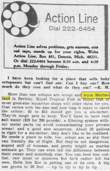 Aqua-MarineLand (Aqua Marine Land) - Apr 27 1966 Action Line Octopus Inquiry